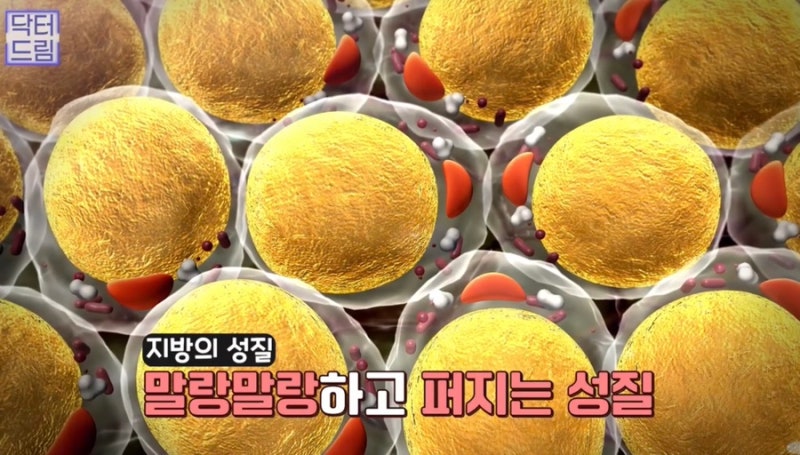 [강남 꿈꾸는 성형외과] 동안 비법 ㅣ 지방이식 vs 필러 시술 사진 4