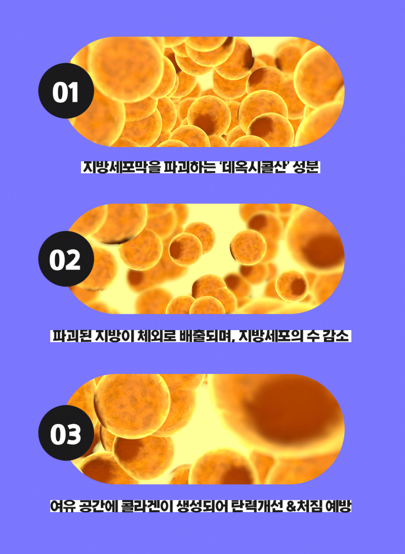 식약처 공식 허가! 국내유일의 브이올렛 사진 4