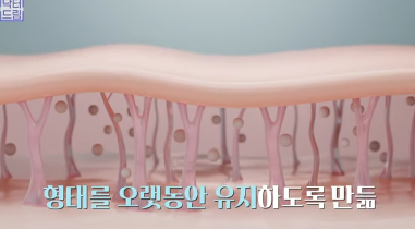 [강남역 성형외과] 이거 모르면 보톡스, 필러 맞았다가 후회합니다 사진 46
